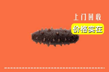 收购资讯:慈溪市回收海参