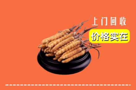 慈溪市回收冬虫夏草
