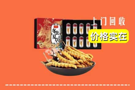 慈溪市回收虫草