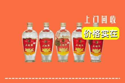 慈溪市回收老五粮液